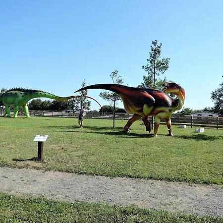 With Terrace And Scenic Grounds Holiday home Wrzosowo (Kamien)