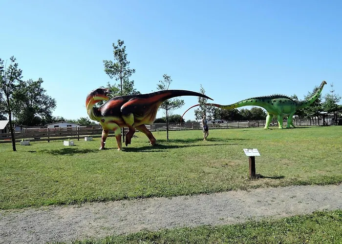 With Terrace And Scenic Grounds *